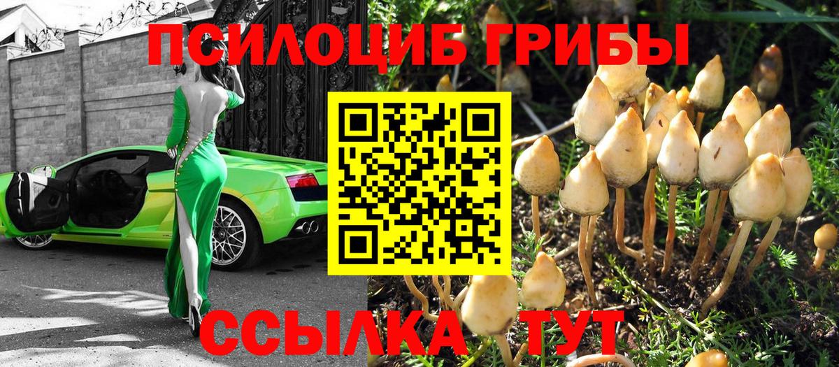 Псилоцибиновые грибы MAGIC MUSHROOMS  Вход с VPN  Нефтеюганск 
